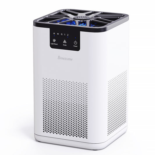 BREEZOME Air Purifier, with H13 True HEPA Filter, Remove 99.9% Smoke Dust for 300 SQ.ft