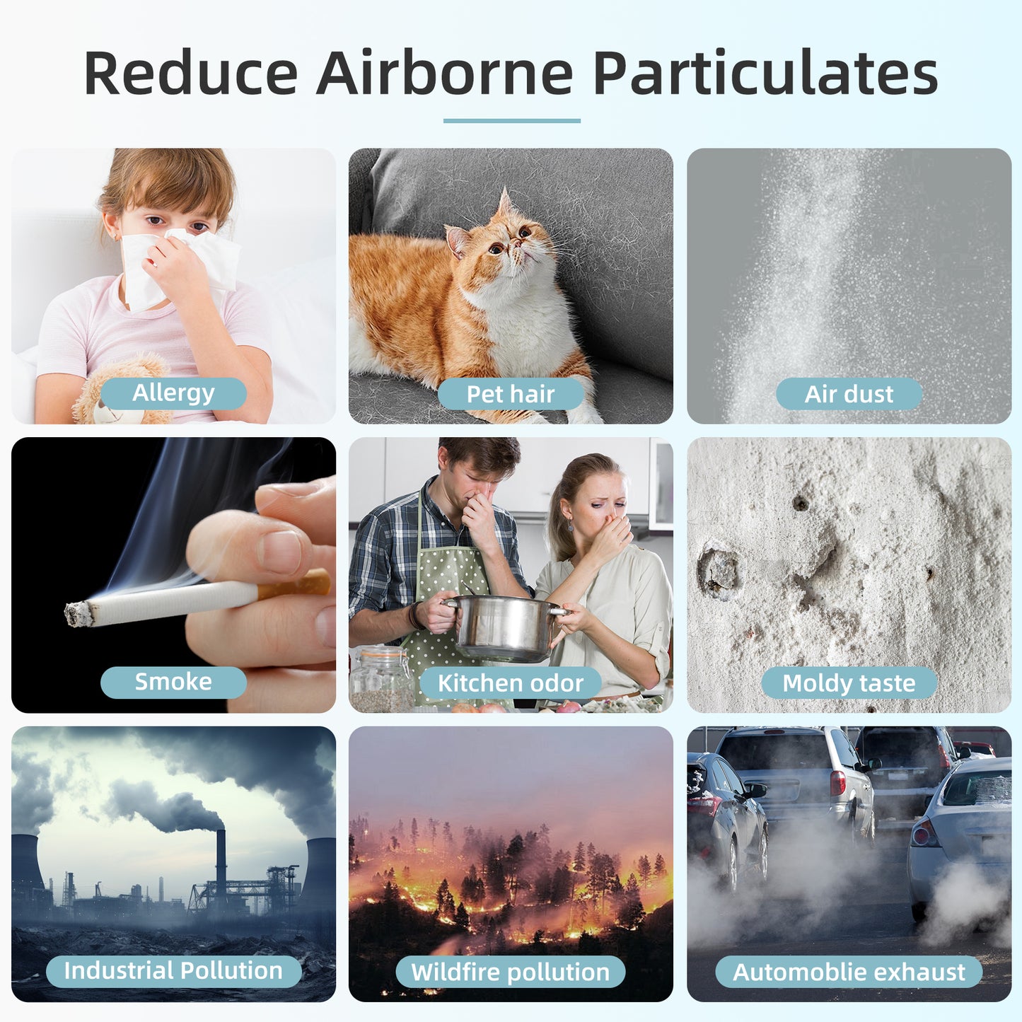 ALROCKET HEPA Air Purifier Filter Replacement for JH01, 4-Stage Filtration Filter for Dust, Pet Dander, Smoke & Odors, High-Efficiency Replacement Filter